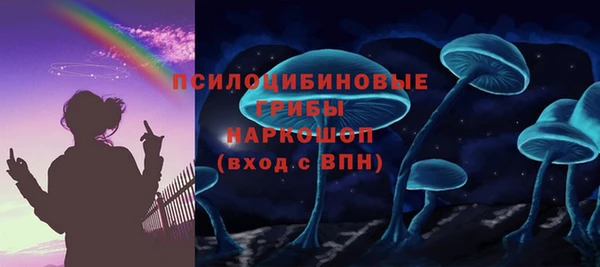 прущий лед Арсеньев